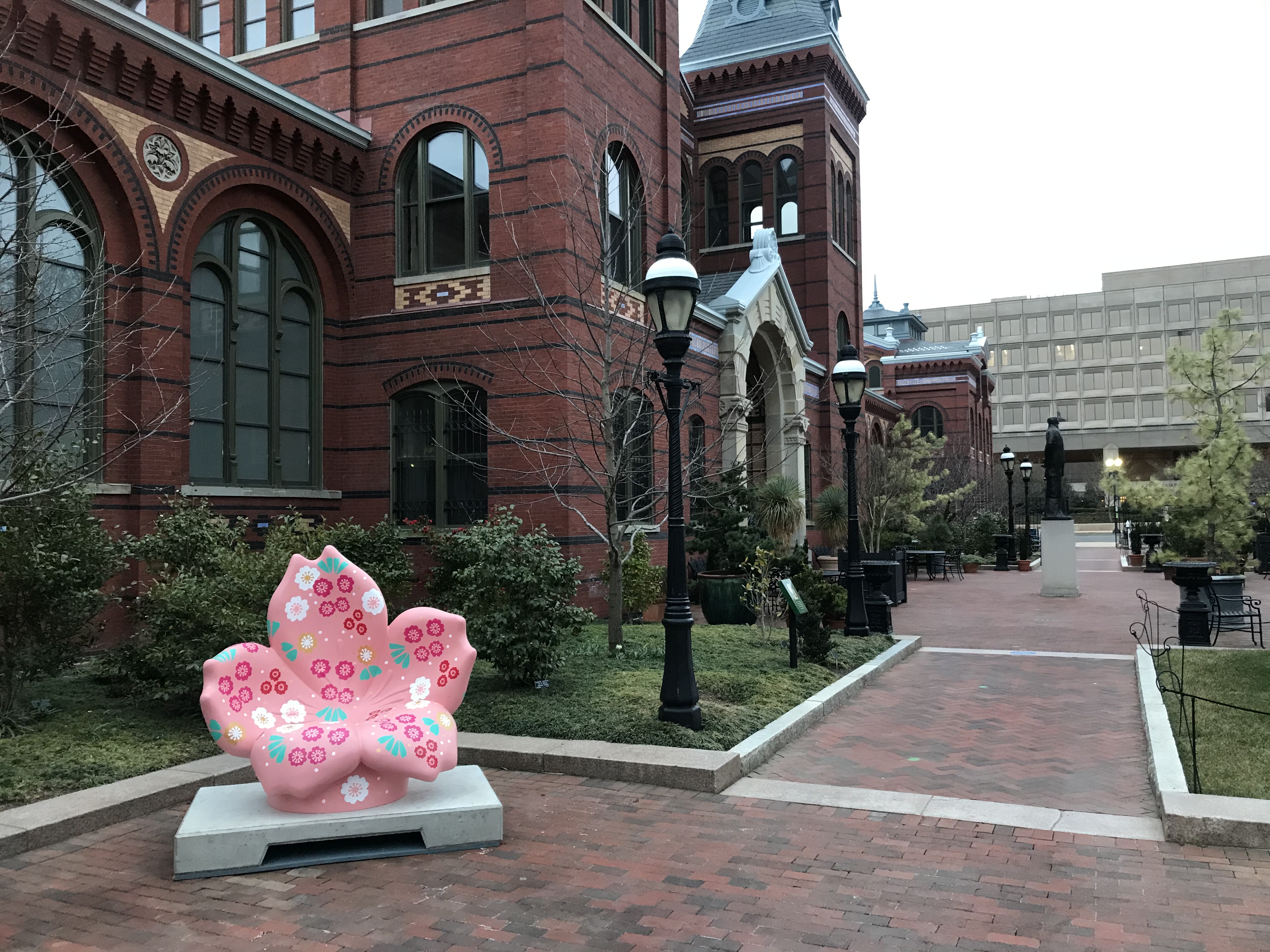 Renewal Blossom @ Enid A. Haupt Garden