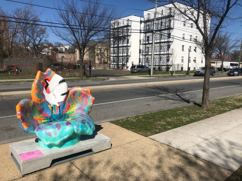 Crane's Dance @ Deanwood