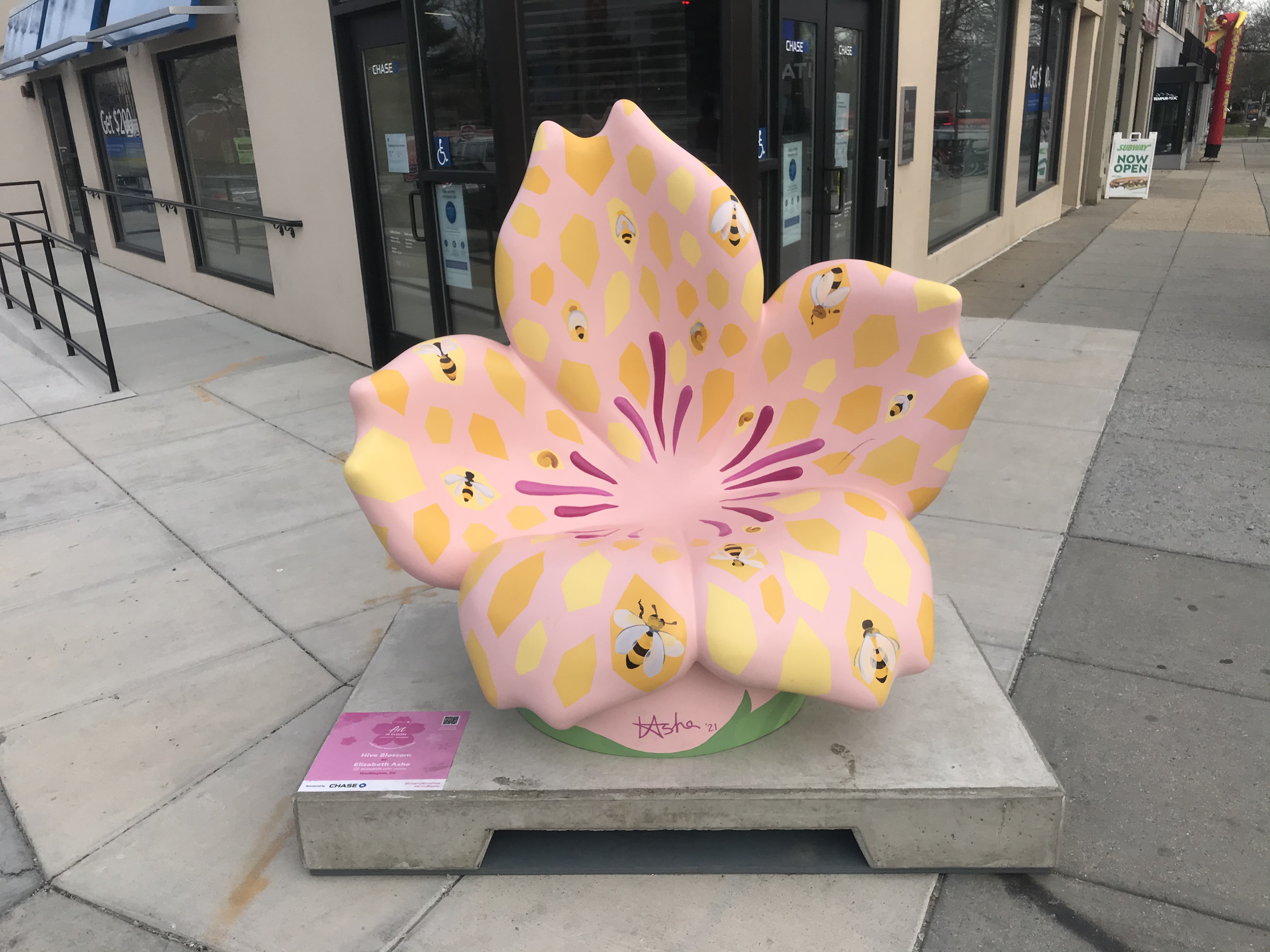 Hive Blossom @ Tenleytown